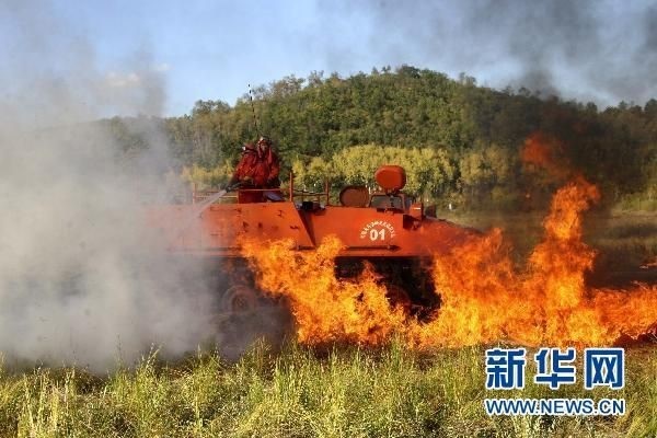 【動畫】森林草原防火“十不準”“五不燒”！這些安全知識要牢記